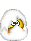 duck-in-shell