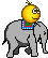 elefant
