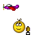 radioplane