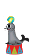 seal