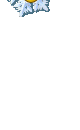 snezhinka