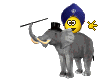 trained-elephant
