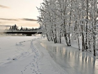 Пазл #50597