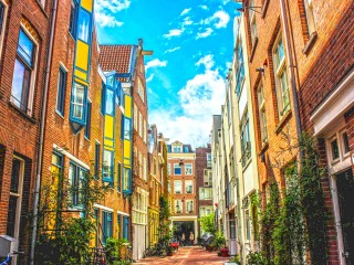 Пазл «Солнечный день»