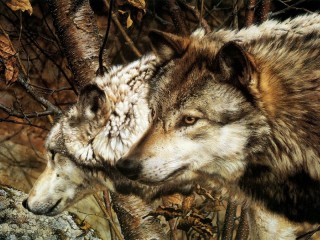 Пазл «The Companions»