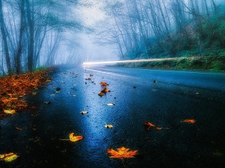 Пазл #72515