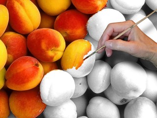 Пазл «Абрикос»