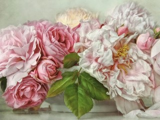 Пазл #51951