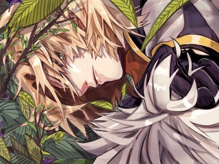 Пазл «Albedo»