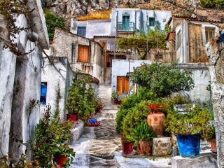 Пазл «Анафиотика»