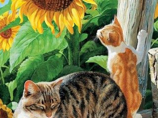 Пазл #64718