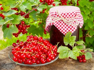 Пазл «Банка варенья»