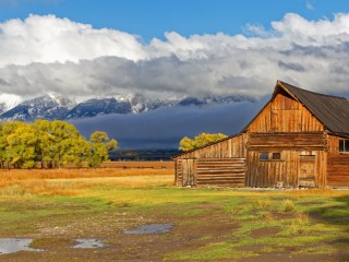 Пазл «Барак в поле»