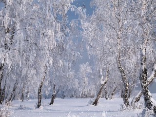 Пазл #54807