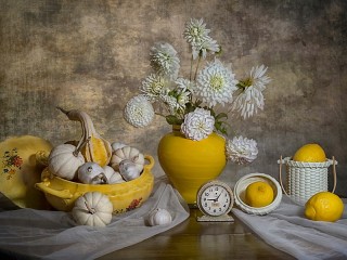 Пазл «Белые георгины»