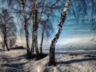 Пазл #30265