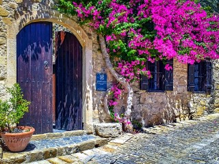 Пазл «Бугенвиллия»