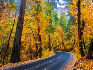 Пазл «California»