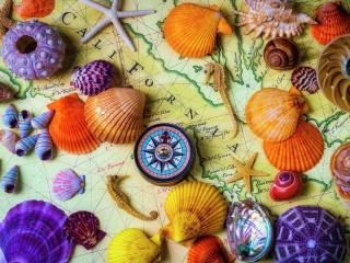 Пазл «California»