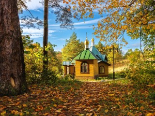 Пазл #57941