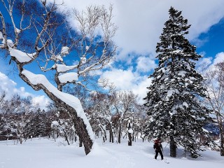 Пазл #51491