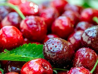 Пазл «Черешня в каплях»