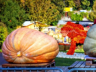 Пазл #75654