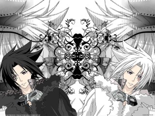 Пазл «D.Gray-man»