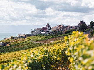 Пазл «Дачная гора»