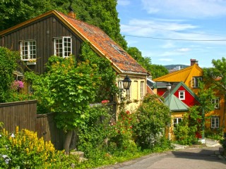 Пазл «Дамстредет Осло»