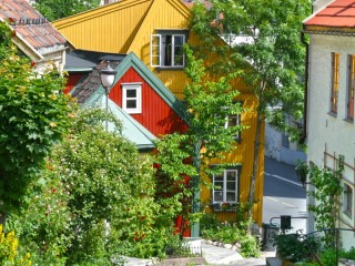 Пазл #68321