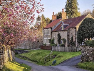 Пазл «Дерево в цвету»