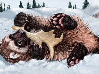 Пазл #68