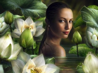 Пазл #46046