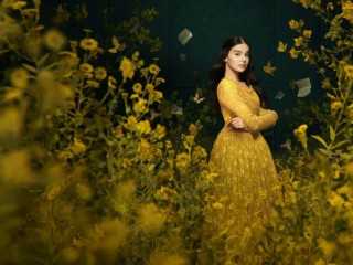 Пазл «Dickinson»