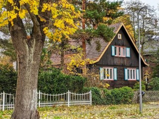 Пазл #66239
