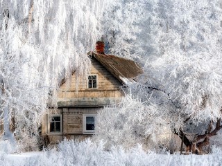 Пазл #12241