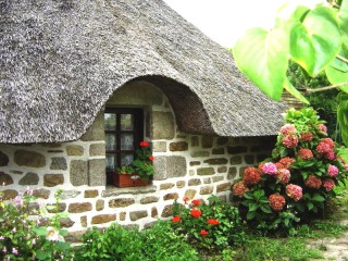 Пазл «Домик гнома»