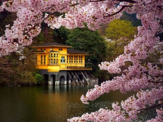 Пазл «Домик у воды»