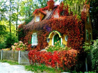 Пазл «Домик в лозах»