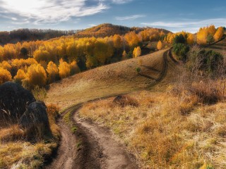 Пазл #48020