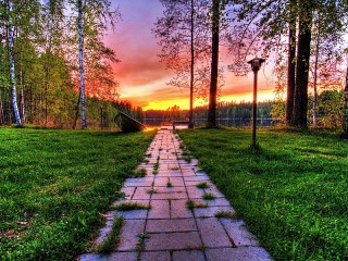 Пазл #50052