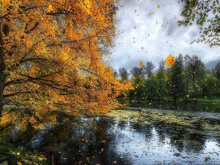 Пазл #55902