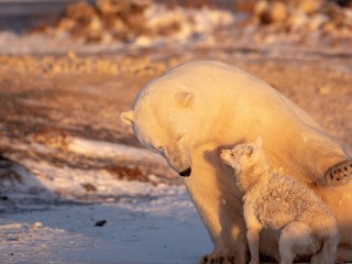 Пазл #39351