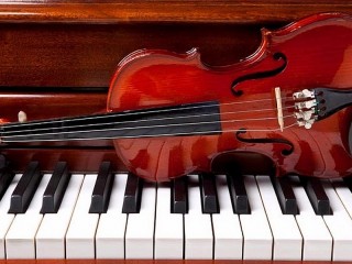 Пазл «Дуэт»