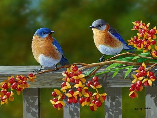 Пазл «Две птицы»