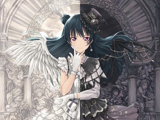 Пазл «Двойственная натура»