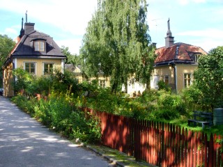 Пазл #72984