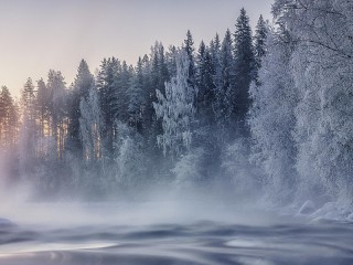 Пазл #12251