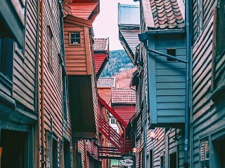 Пазл #51214